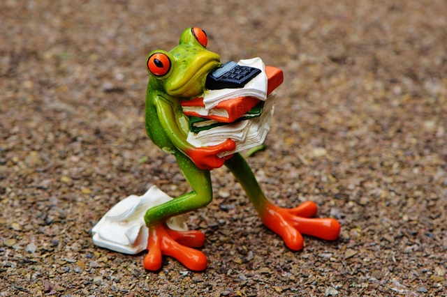 frog 1339892 1280 small